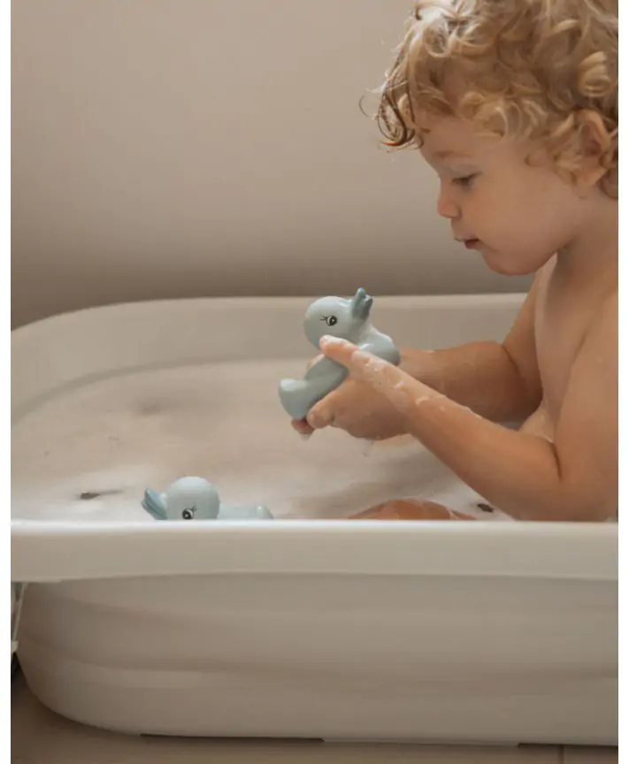 זוג ברווזי גומי