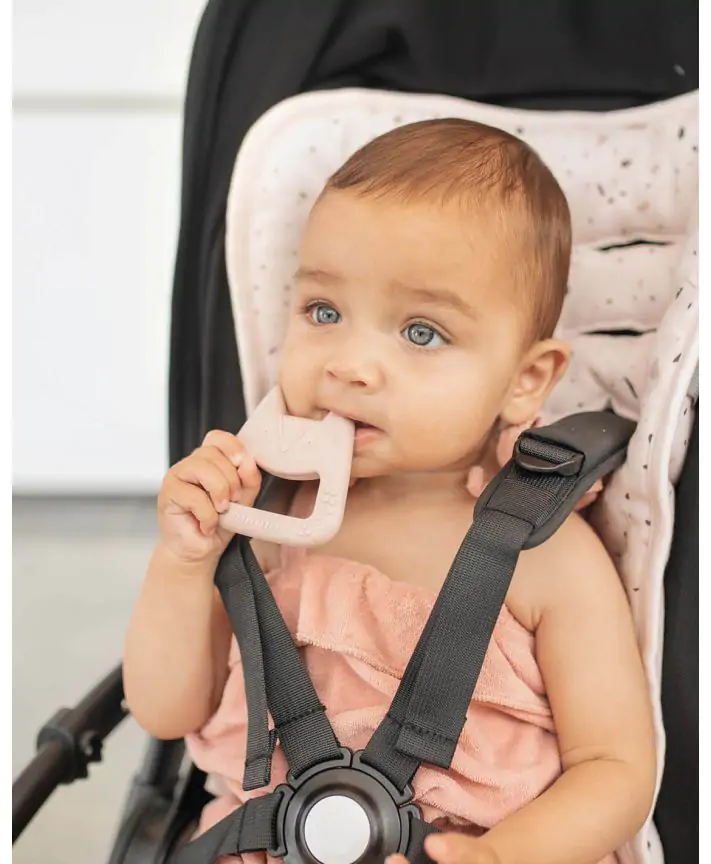 נשכן סיליקון מרובע