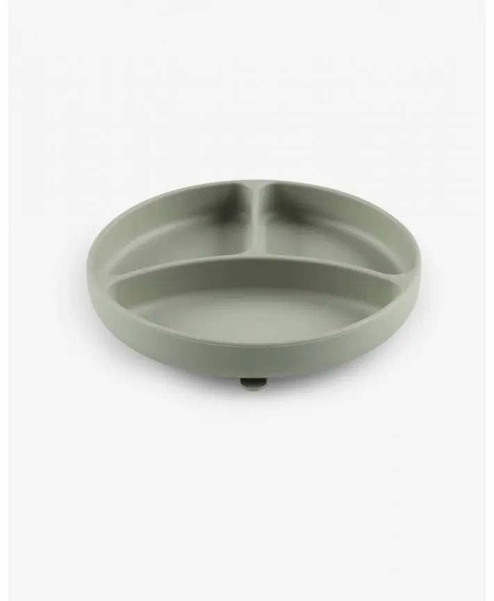 צלחת סיליקון מחולקת