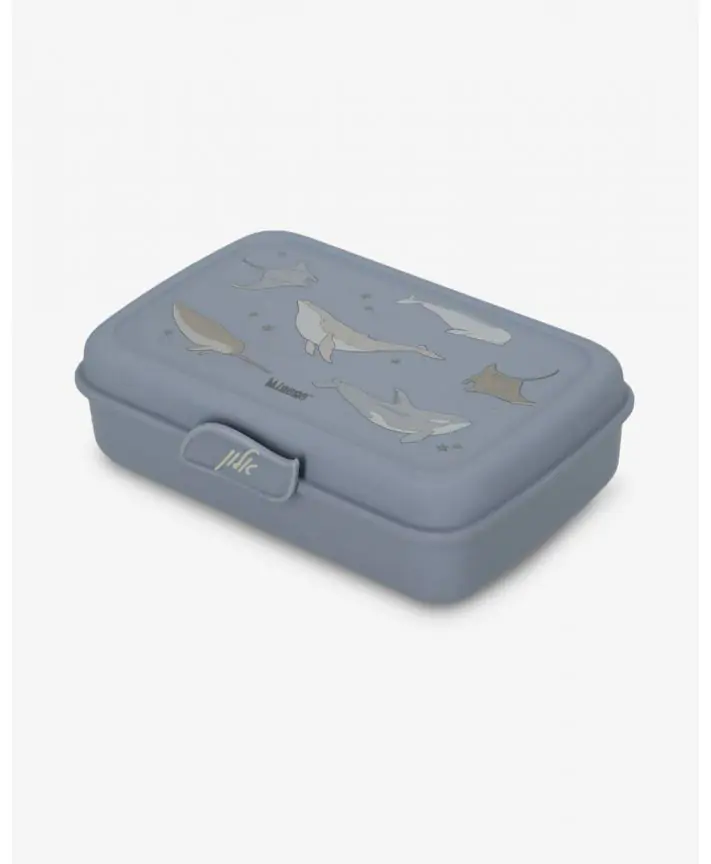 קופסת אוכל מחולקת