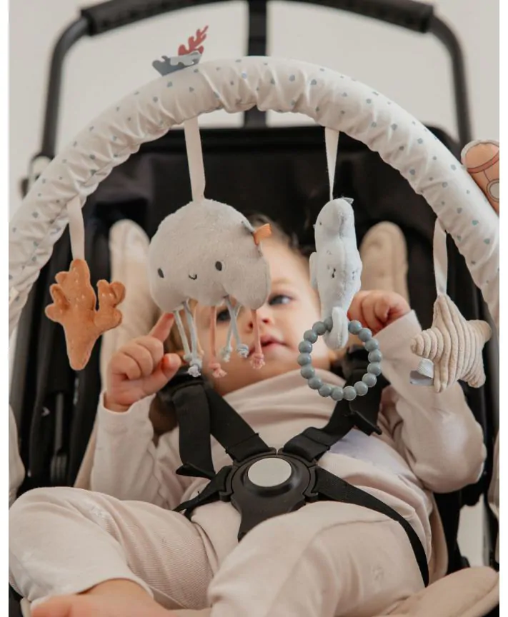 קשת פעילות לעגלה