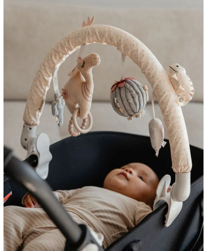 קשת פעילות לעגלה