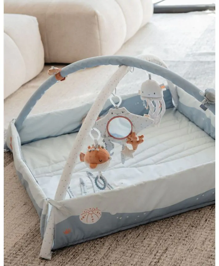 אוניברסיטה לתינוק