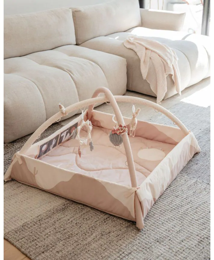 אוניברסיטה לתינוק