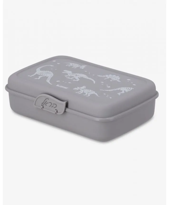 קופסאת אוכל לילדים