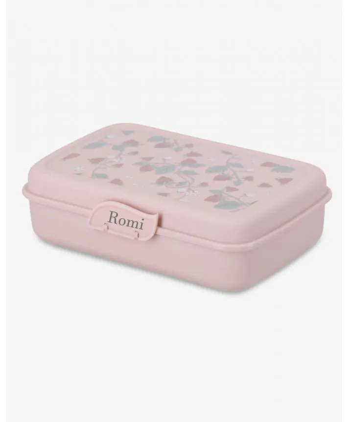 קופסאת אוכל לילדים