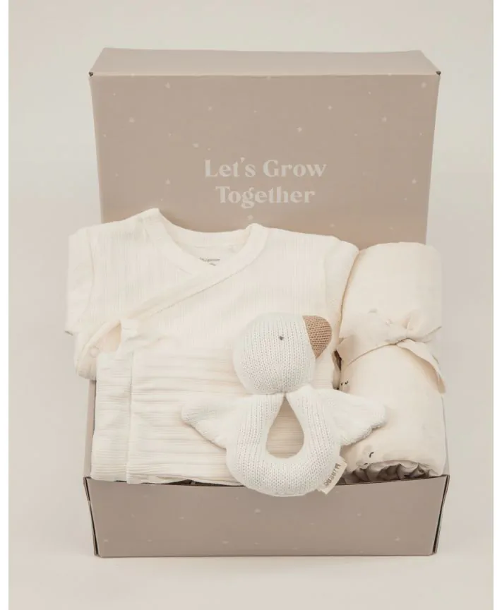 מארז מיננה- The adventure Begins