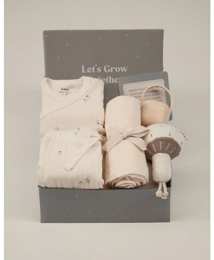 Welcome - מארז מיננה