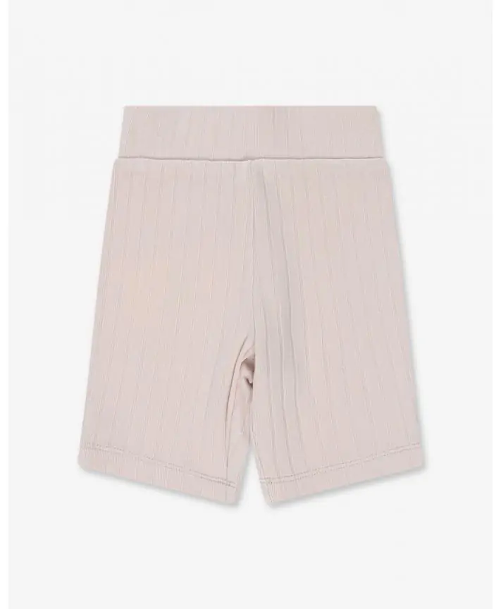 טייץ ריב Ribim