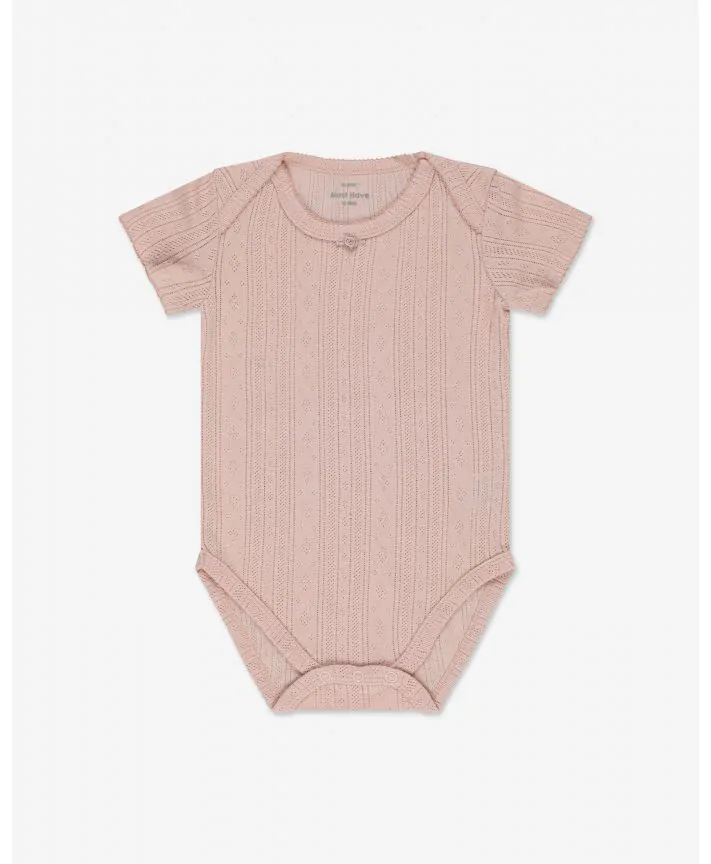 בגד גוף פוינטל