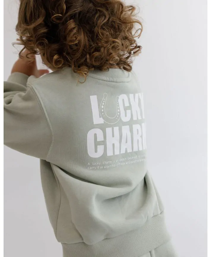 סווטשירט בייבי