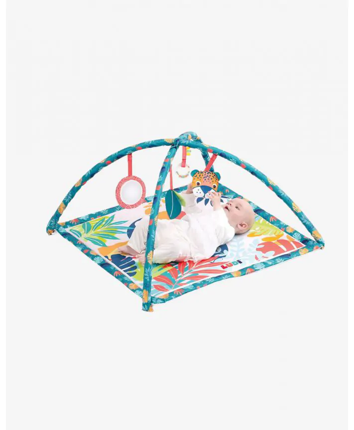 משטח פעילות אוניברסיטה תוכי - LUDI