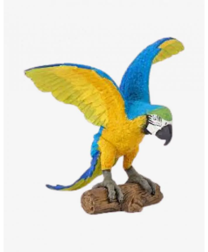 ארה כחולה PAPO