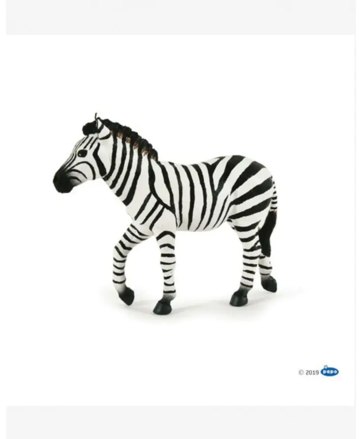 זברה PAPO
