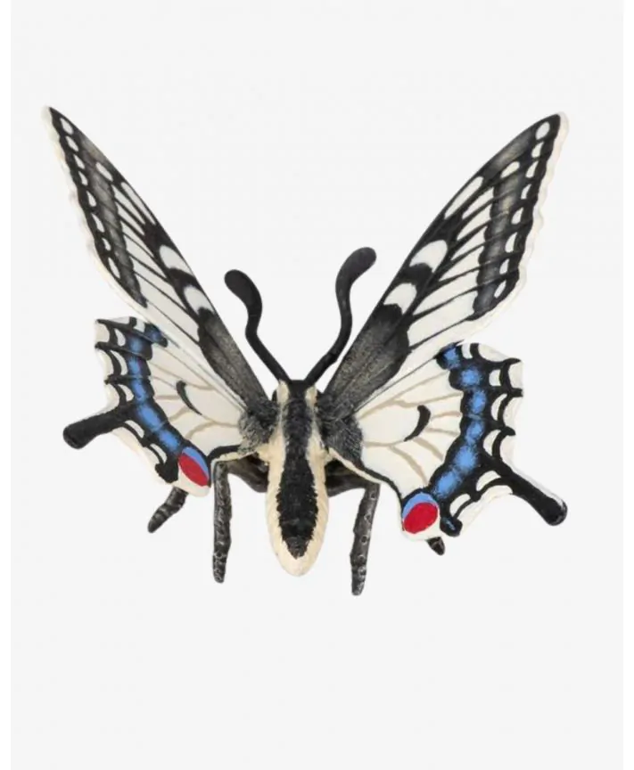 פרפר סנונית צבעוני PAPO