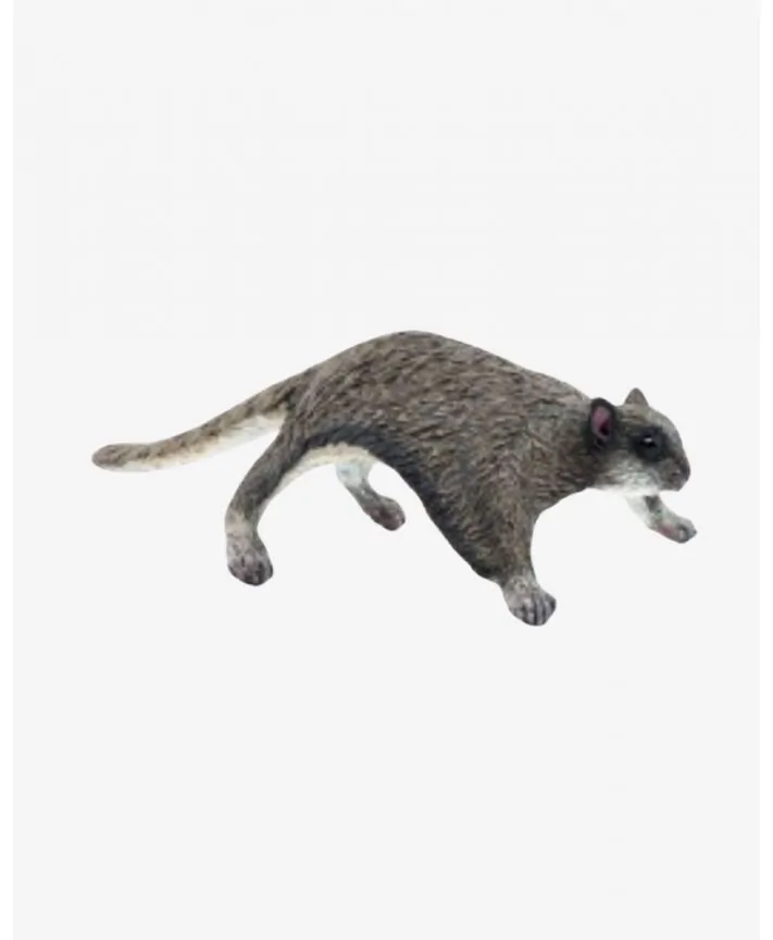 סנאי מעופף - PAPO