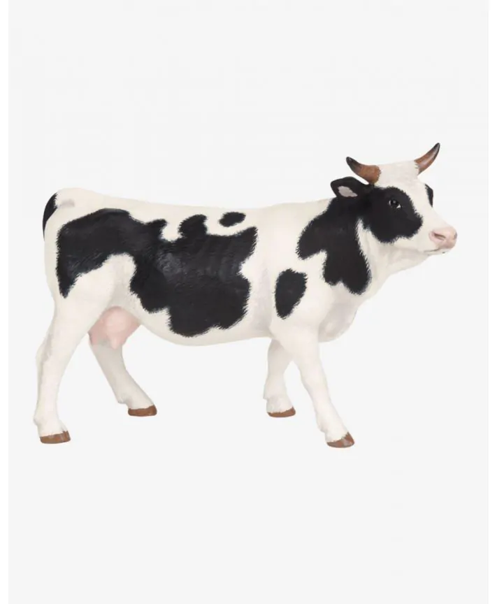 פרה שחור לבן PAPO
