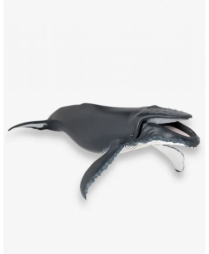 דמות מניטורה למשחק דמיון לוויתן גדול סנפיר PAPO