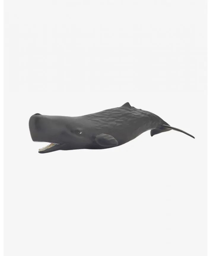 גור ליויתן ענק PAPO