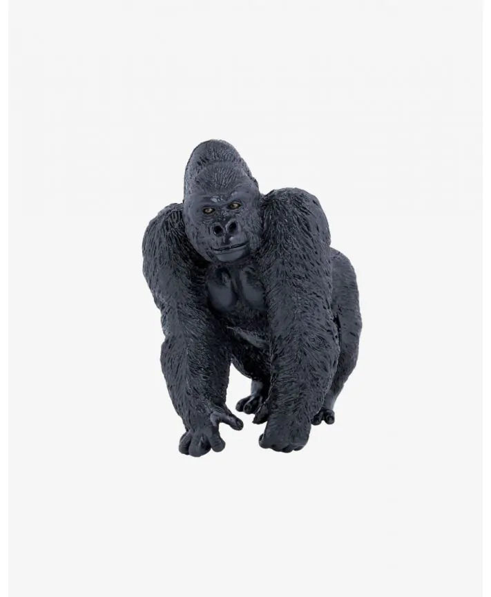 גורילה PAPO