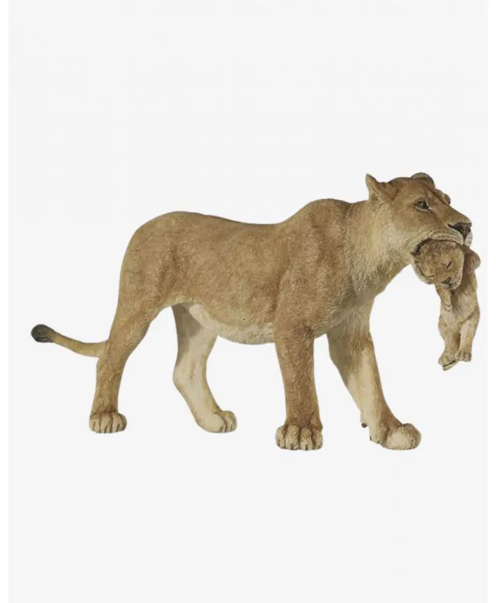 לביאה עם כפיר PAPO