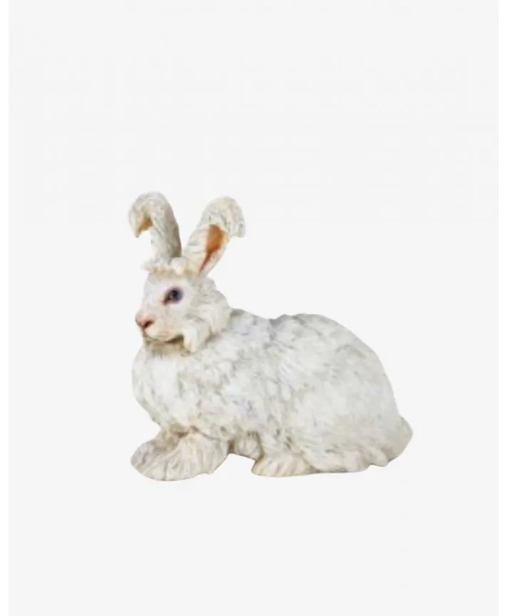 ארנב לבן - PAPO