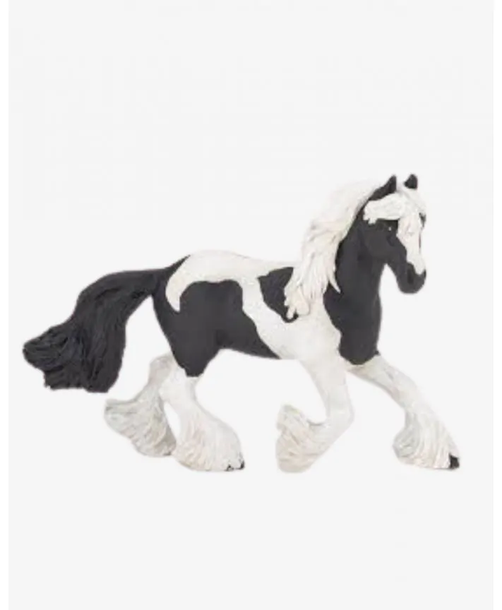 סוס אציל PAPO