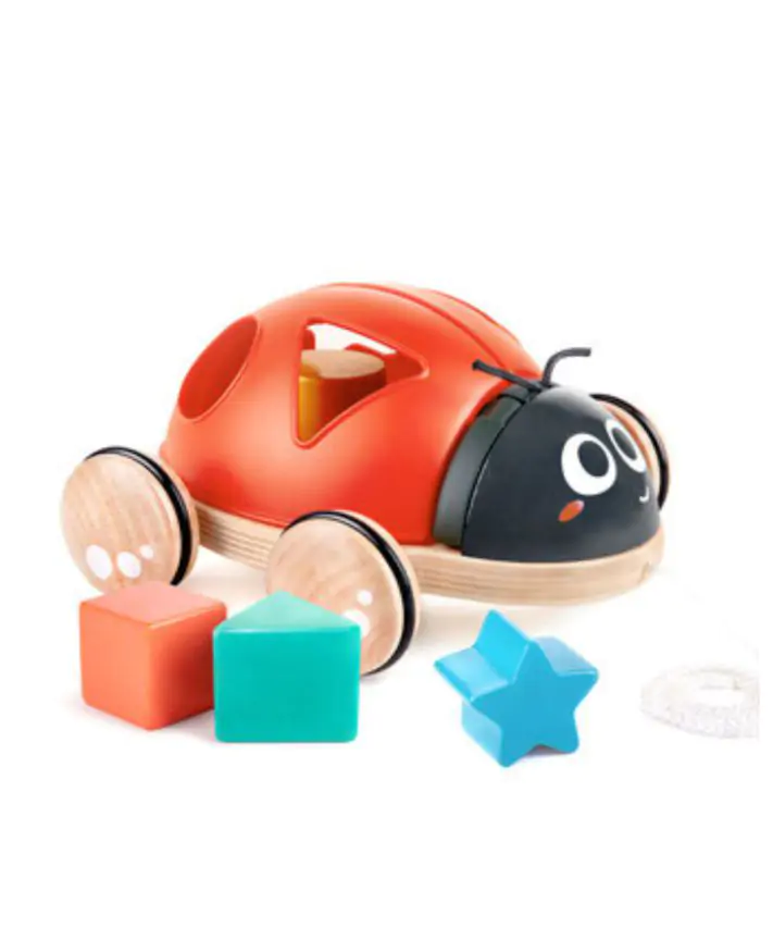 התאמת צורות חיפושית HAPE