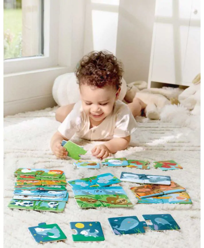 פאזל התאמת משפחת חיות