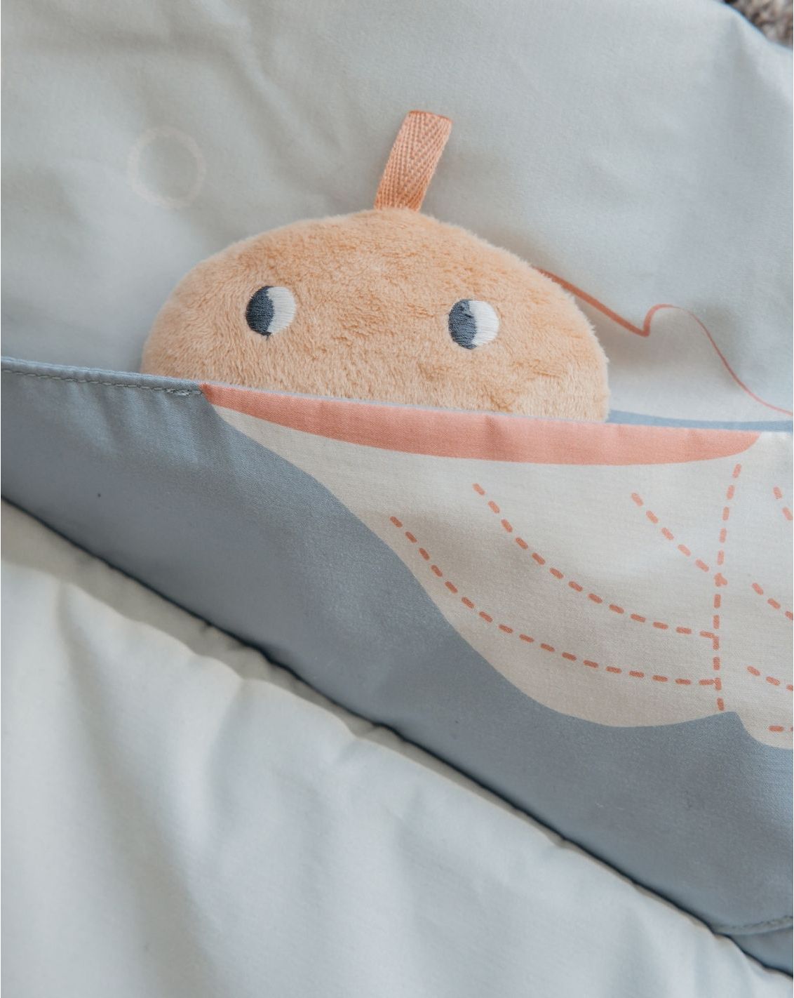 אוניברסיטה לתינוק